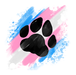 :paw_transgender: