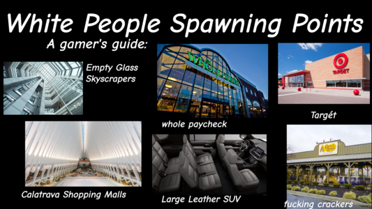 White People Spawning Points. A gamer's guide:

Empty Glass Skyscrapers, whole paycheck (whole foods market), Targét (Target), Calatrava Shopping Malls (Picture of World Trade Center Transportation Hub designed by Santiago Calatrava), Large Leather SUV, fucking crackers (an image of cracker barrel)