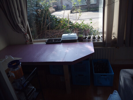 The plant table in its final location in front of the window. There are some young plants in the windowsill. The corner of the couch is visible, and you can see how there is a corner cut out of the table so that there's enough space left to comfortably walk around the couch (because it'd be a pretty tight fit otherwise).