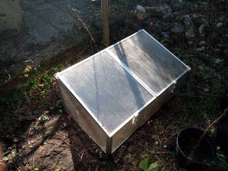 Small, low, rigid plastic greenhouse with a sloped top sitting on a patch of wet dirt. The top consists of two panels that can be opened and locked independently. In the top left corner of the picture you can see a raised area with some tiles and a growing bag sitting on top of them, in the top right corner you can see a pile of stones, and in the bottom right corner you can see a raspberry plant sitting in a plant pot. Everything looks kind of dingy, like it hasn't seen maintenance in a while.