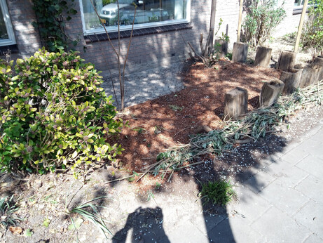 The same front garden as before, but further cutting back of plants has happened, the area with bricks is visible again, and a significant part of the soil is now covered with orange-brown coconut ground cover. A natural barrier made from cut-off branches and leaves has been built, in front of the line of wooden 'bollard' blocks that are stuck into the ground around the edge of the garden.