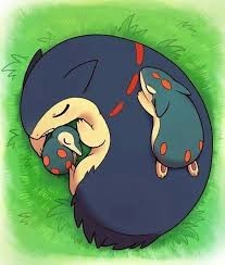 typhlosion cuddling with some cyndaquils
