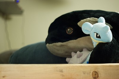 An artsy photograph depicting an orca ✨plush✨ cuddling with a lapras ✨plush✨ in a bed with a wooden loft frame.