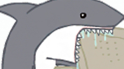 shark eat computer