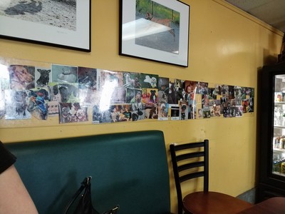 wall of a restaurant lined with pictures of good doggos