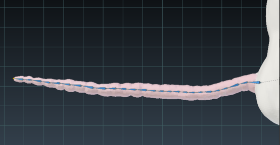 A 3D render of the tail of a rat person with many 3d rigging bones