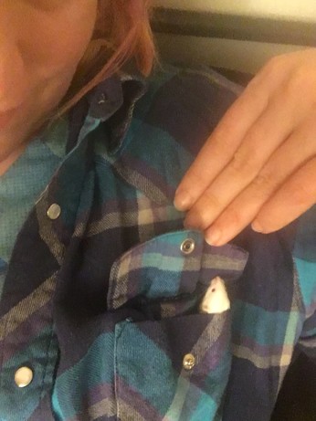 a small mouse head peeking out of a shirt pocket