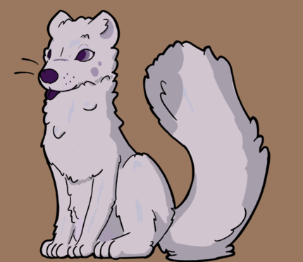 White fox with purple nose/tongue/eyes