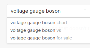 search suggestions, one of them is "voltage gauge boson (for sale)"