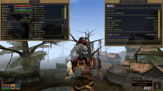 A dark elf magic-user named Wander posing in front of the starting town in the new leather armor he 'found' in a nearby warehouse. He has a red mohawk with a black goatee and green tattoos across his face. His birthsign is the Atronach.