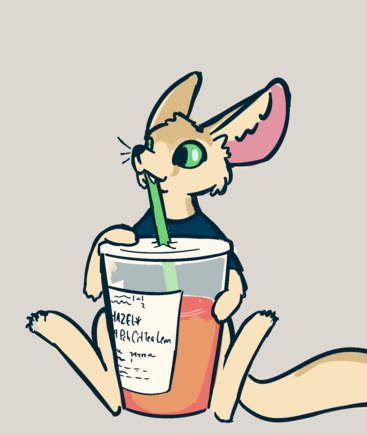a drawing of Hazel, a fennec in a shirt, slurpin on their drink