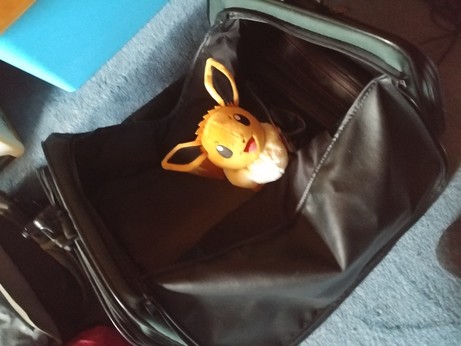 am Eevee plush in a big, mostly empty bag