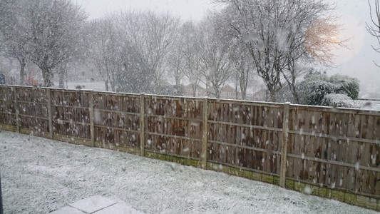 A snowy backyard