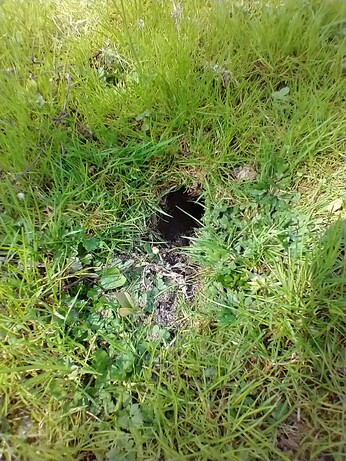 Hole in ground.