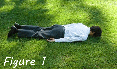 Photo of someone laying facedown on the grass while dressed in slacks and a button-up. Some insoucient wag has captioned it "Figure 1".