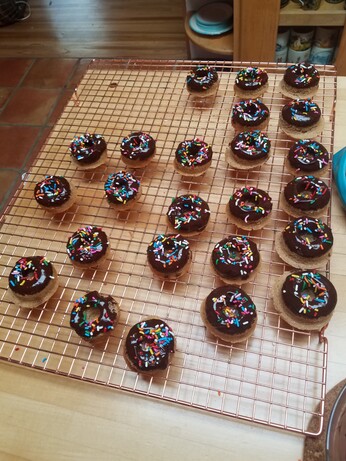 Mini buttermilk doughnuts with chocolate glaze qnd sprinkles