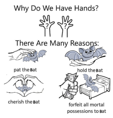 Edit of the "Why do we have hands?" meme about patting rats, cherishing them, holding them and forfeiting all mortal possession to Rat - except it's been edited to be about Bats instead