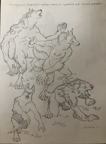 I forget who was doing all the D&D ancestries if they caught lycanthropy, but they’d only done humans. And that sounded like a cool idea so here’s my version; from top to bottom, human, elf, dwarf and halfling victims.